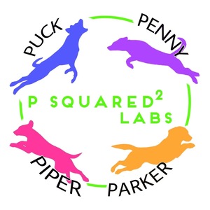 Team Page: P-Squared Labs2